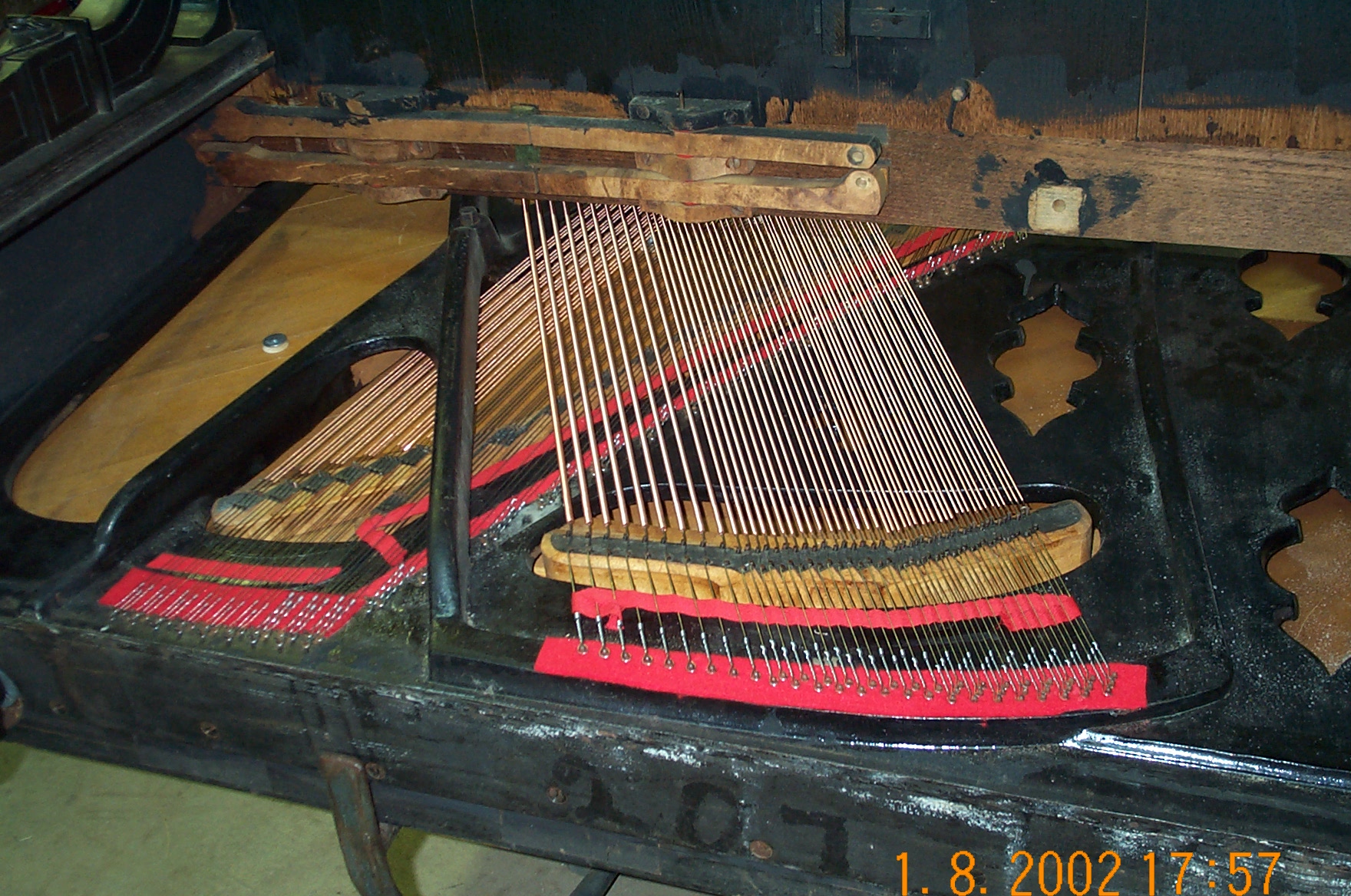 DCP_0926 Call 2064508123